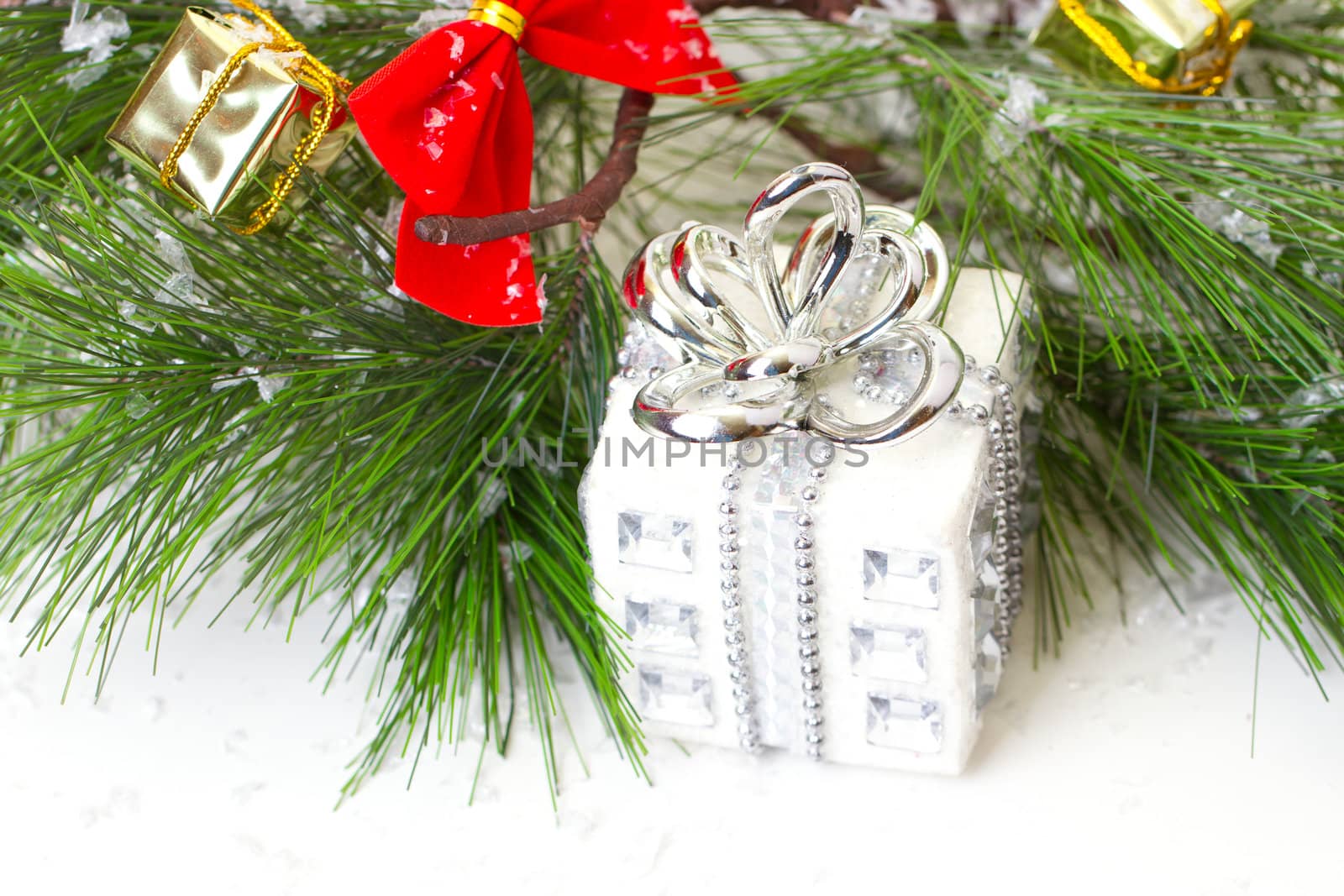 Cone and christmas tree isolated on white