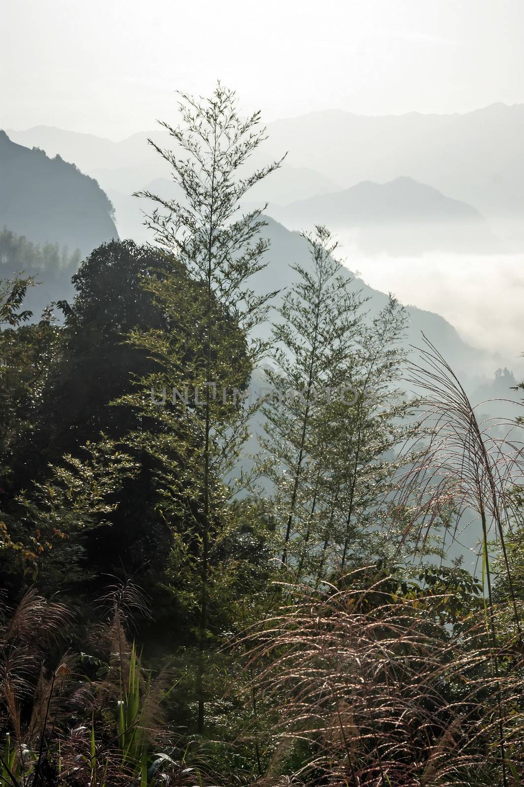 Beautiful scenery in Ziyuan County, Guangxi, Chinaimage by xfdly5