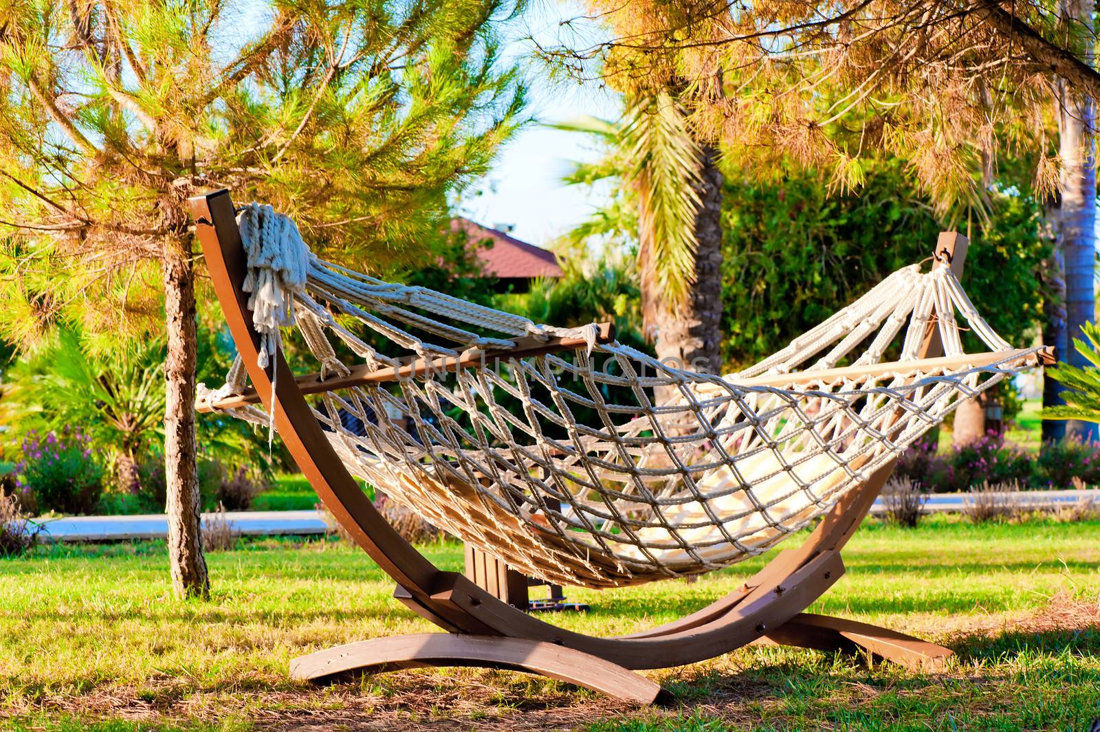 Hammock to relax in the tropical garden by kosmsos111
