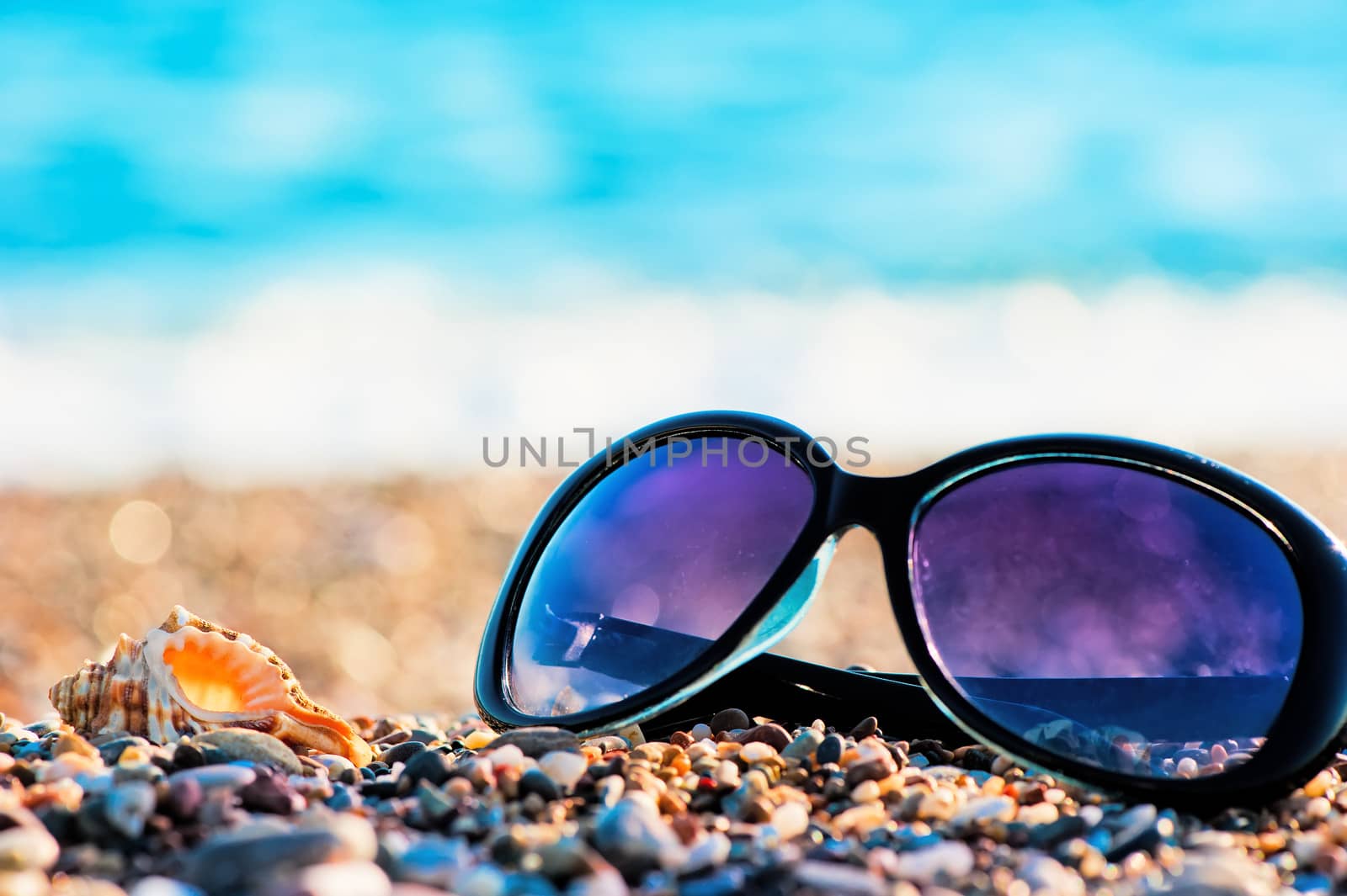 Sunglasses and shells lie on the shingle beach sea