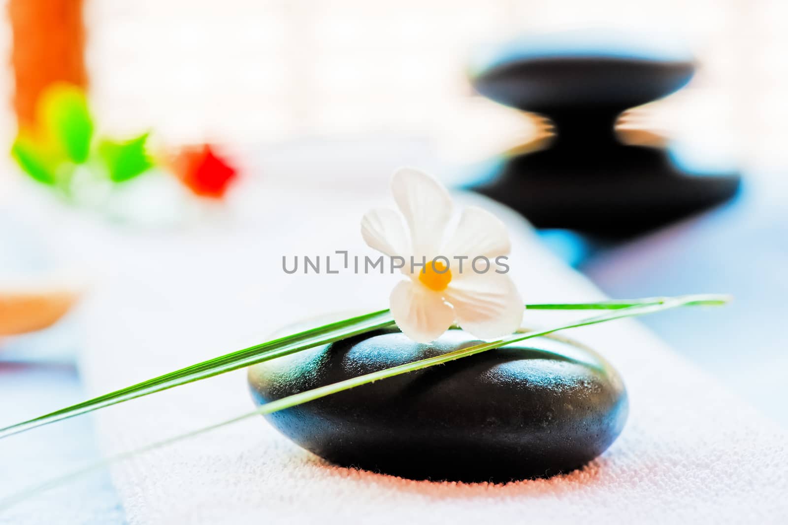 Still life with a black stone and a flower in the style of zen-like by kosmsos111