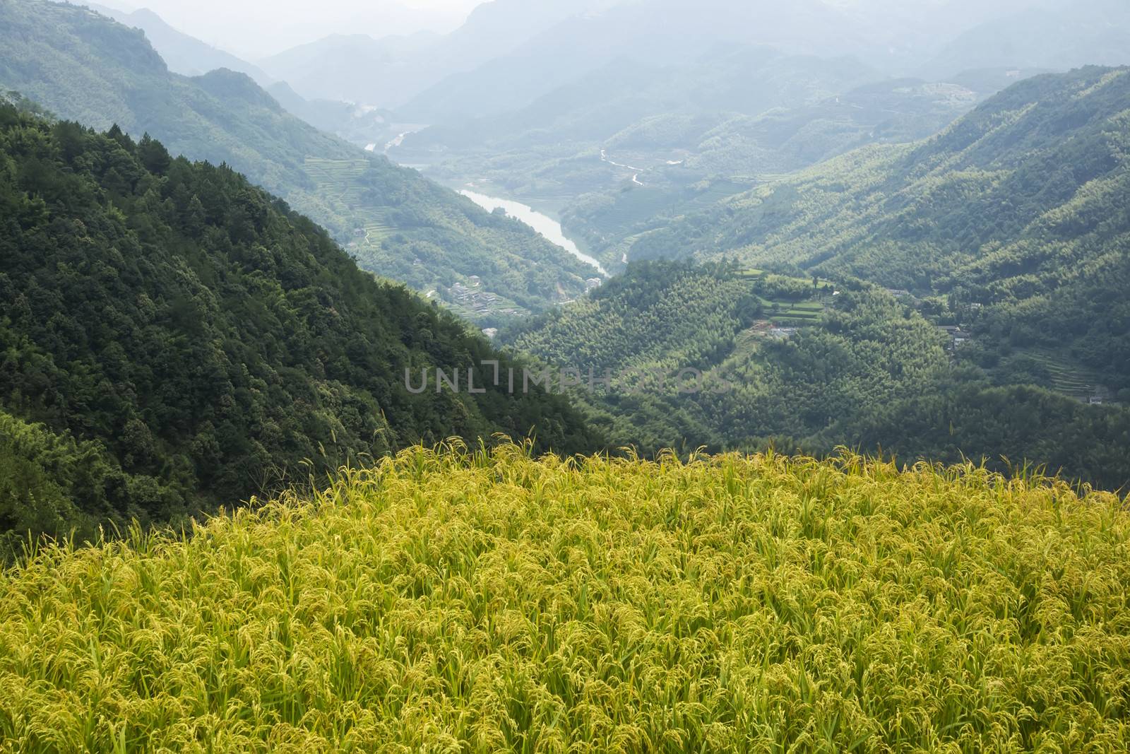 China Wenzhou landscape - mountain scenery by xfdly5