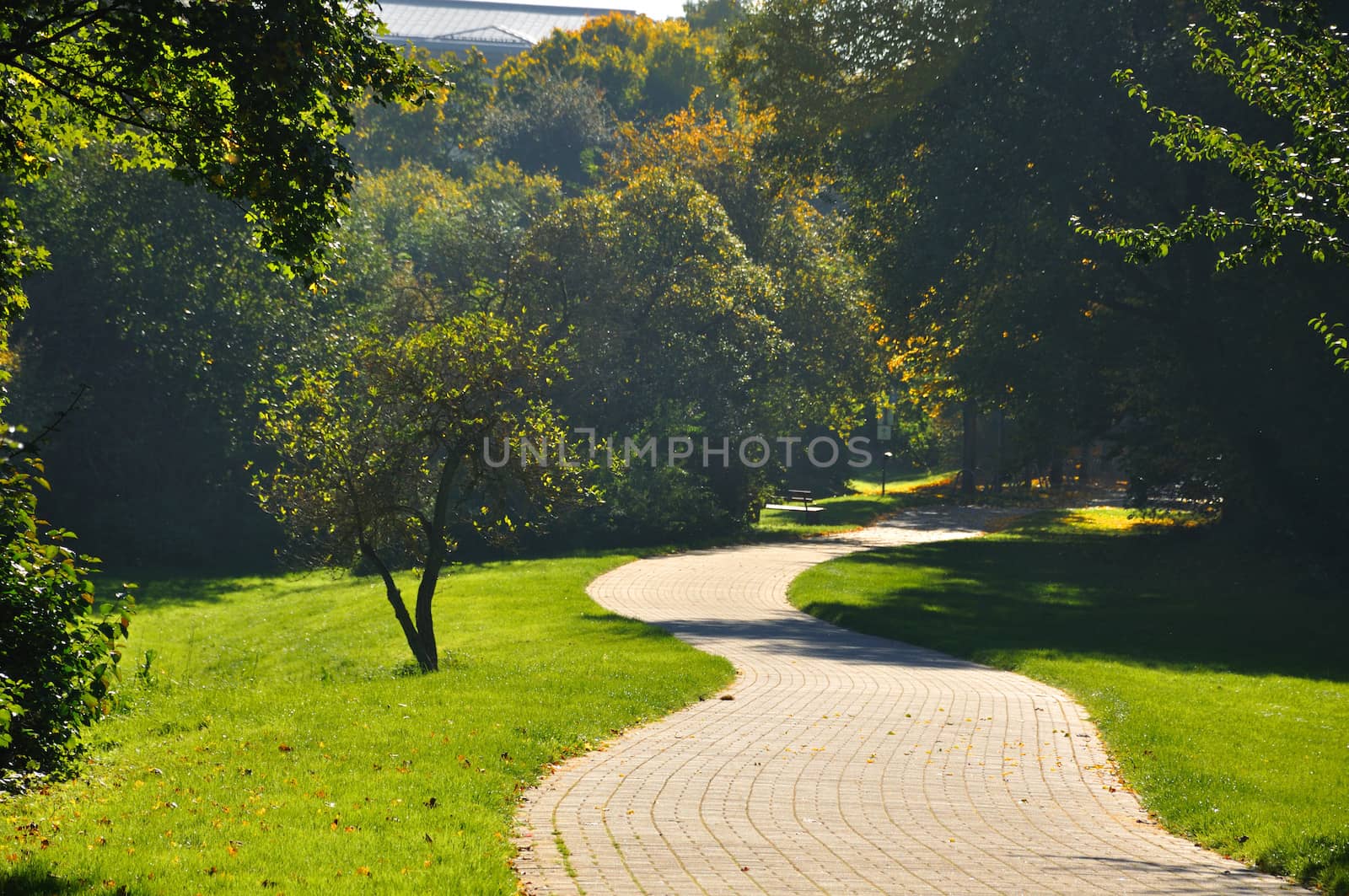 Misterious shady green alley with trees in the park in Fulda, He by Eagle2308