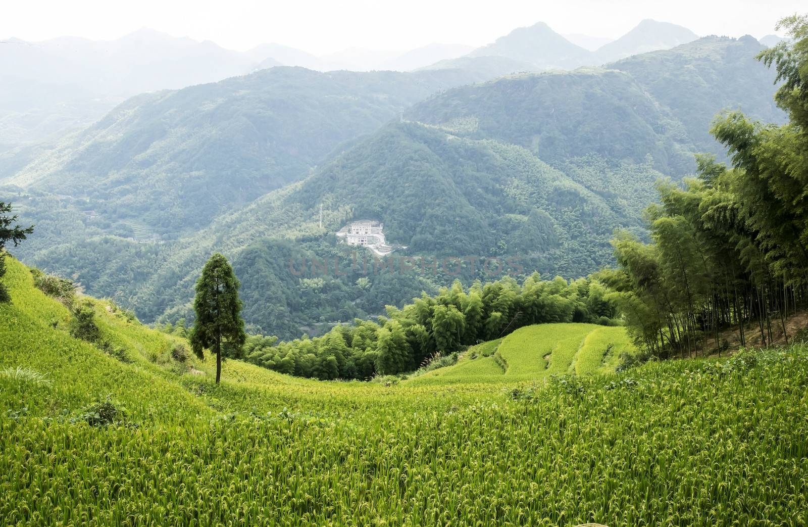 China Wenzhou landscape - mountain scenery by xfdly5