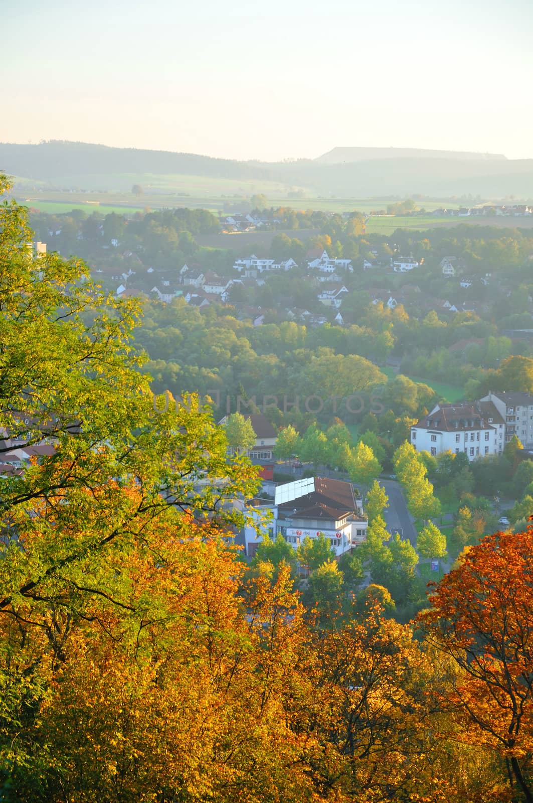 Autumn yellow trees on Frauenberg in Fulda, Hessen, Germany by Eagle2308