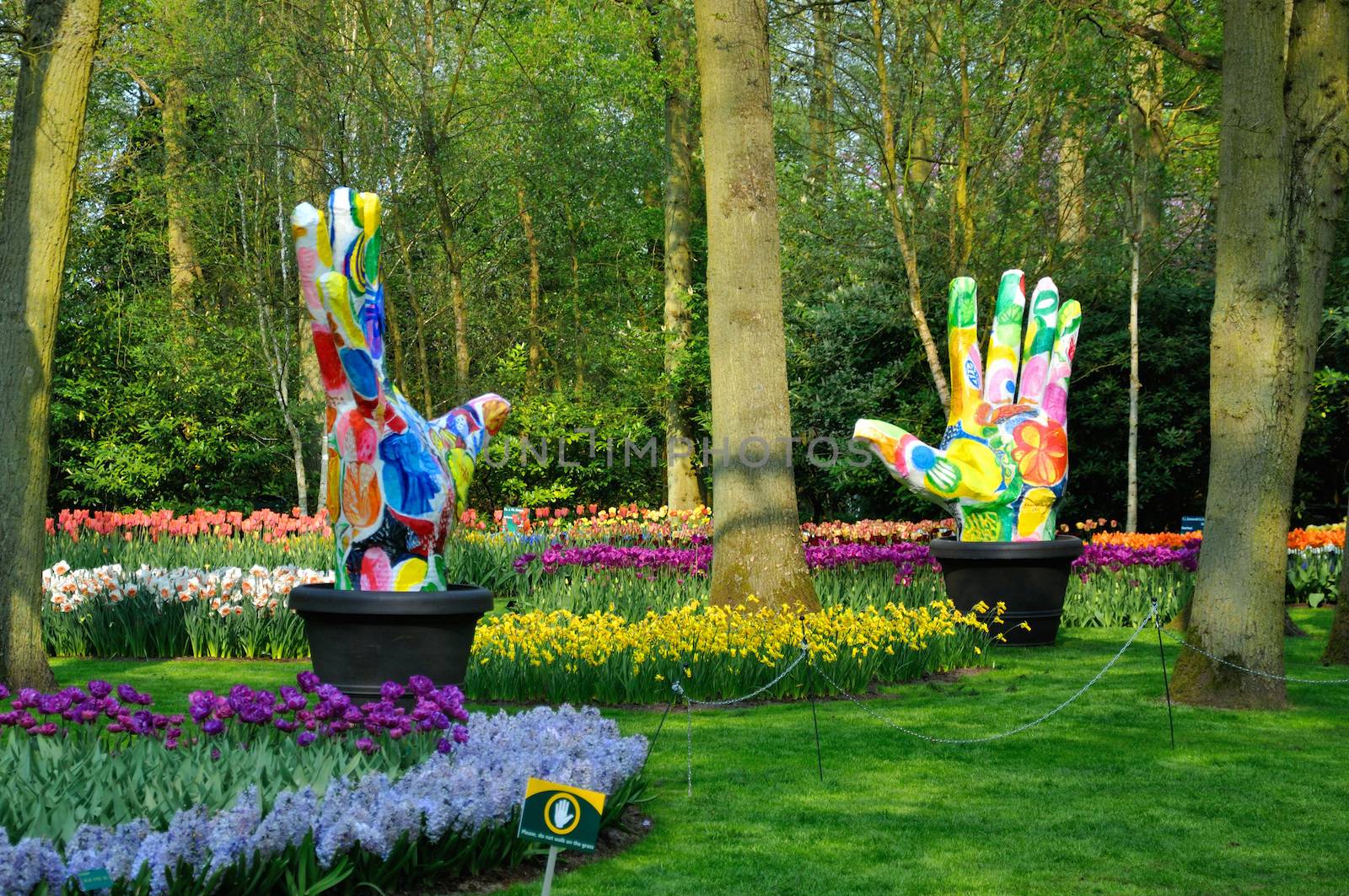 Groene Vingers (Big colorful hands) with tulips in Keukenhof par by Eagle2308