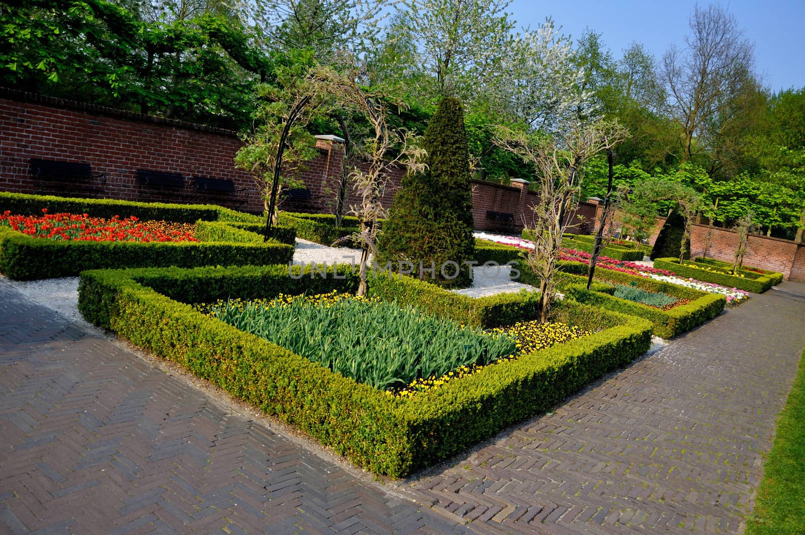 Garden with small bushes in Keukenhof park in Holland by Eagle2308