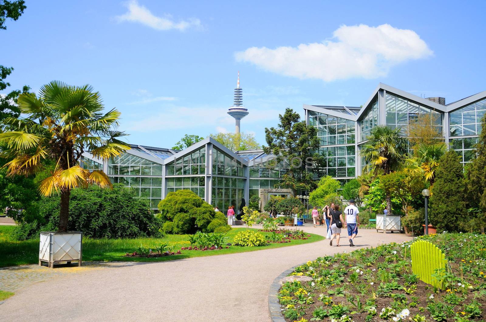 Nature of Palmen Garten, Frankfurt am Main, Hessen, Germany by Eagle2308