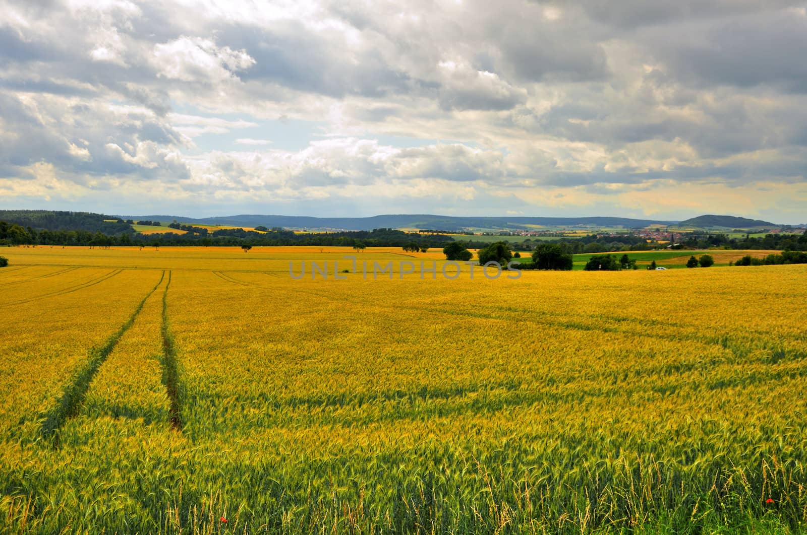 Beautiful landscape (fields) near Schloss Fasanarie in Fulda, He by Eagle2308