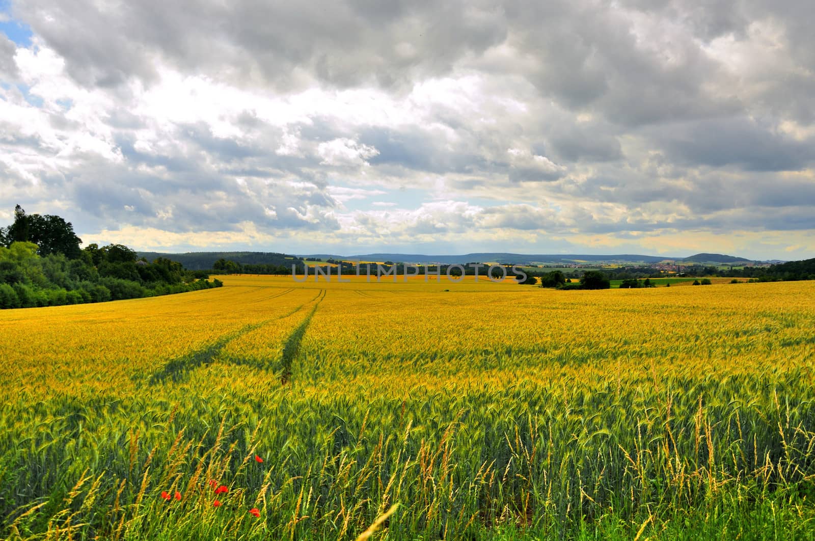 Beautiful landscape (fields) near Schloss Fasanarie in Fulda, Hessen, Germany
