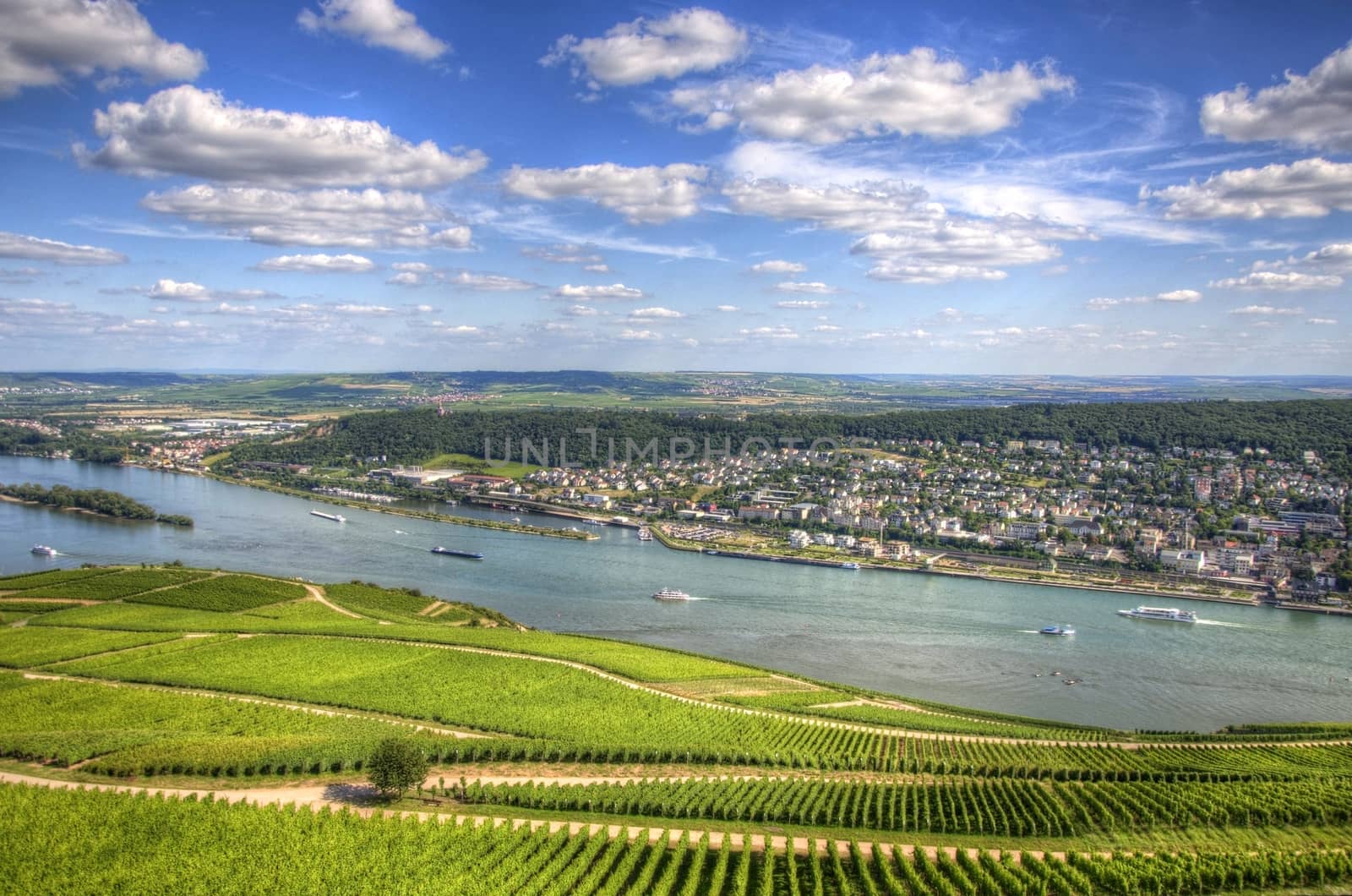 Vineyards on the bank of Rhein river, Ruedesheim, Rhein-main-pfa by Eagle2308