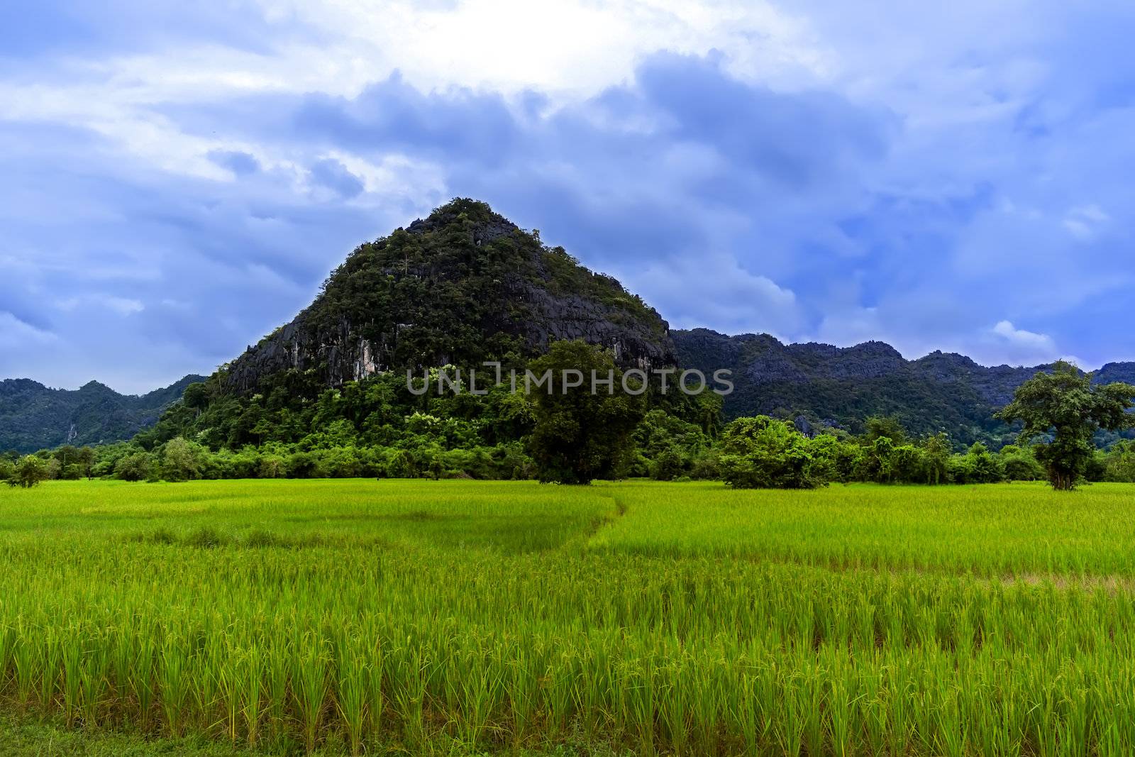 Fields and Hills of Laos. Khammouane province..