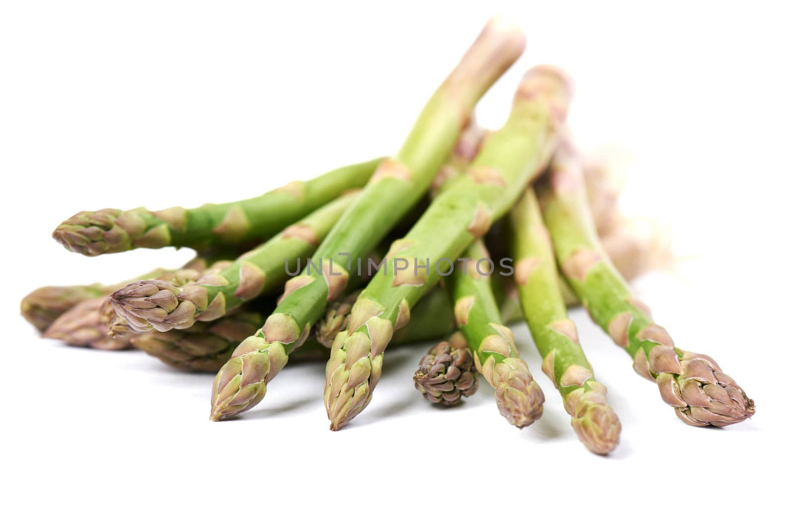 Close-up of freshly harvested asparagus on white background.