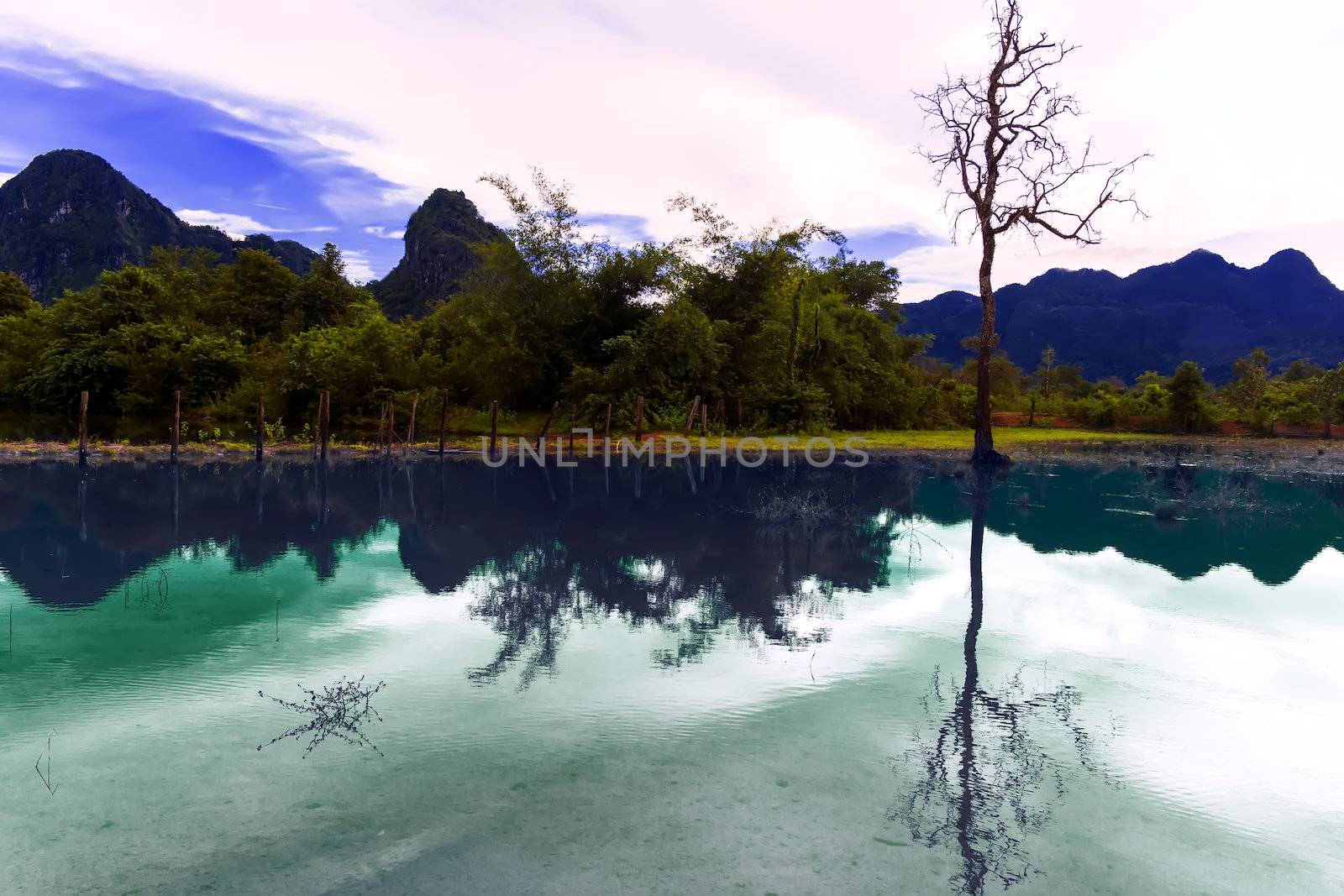 Reflections of Laos. Pond. by GNNick