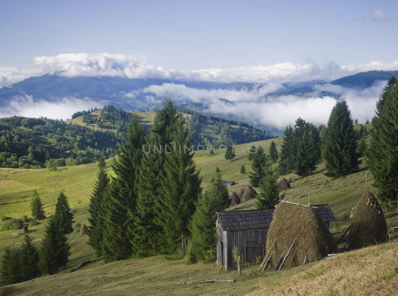 Fresh summer landscape of mountain and forest, Romania