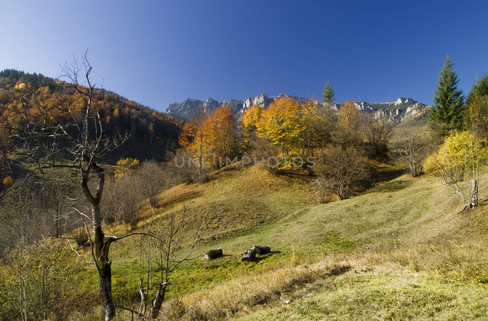 Mountain landscape with autumn trees
