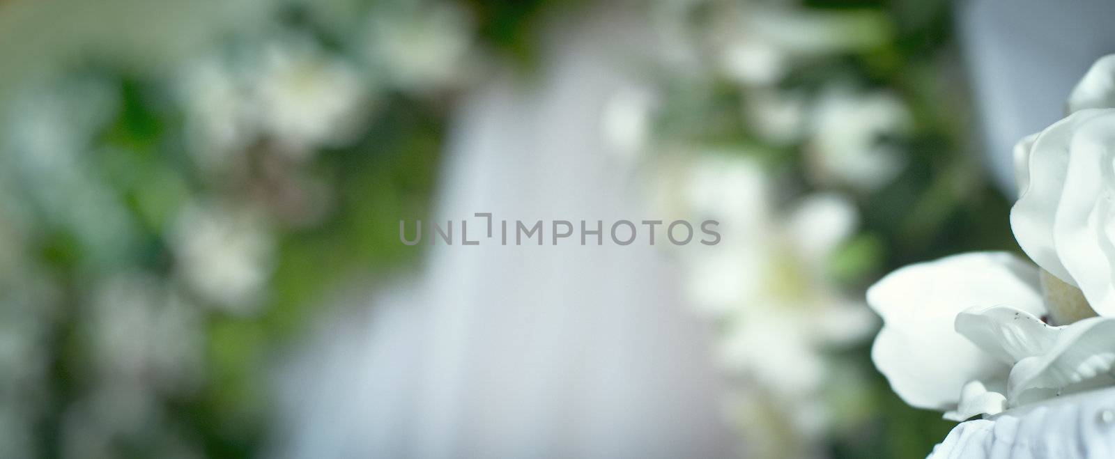 White wedding flower bouquet by Nickolya