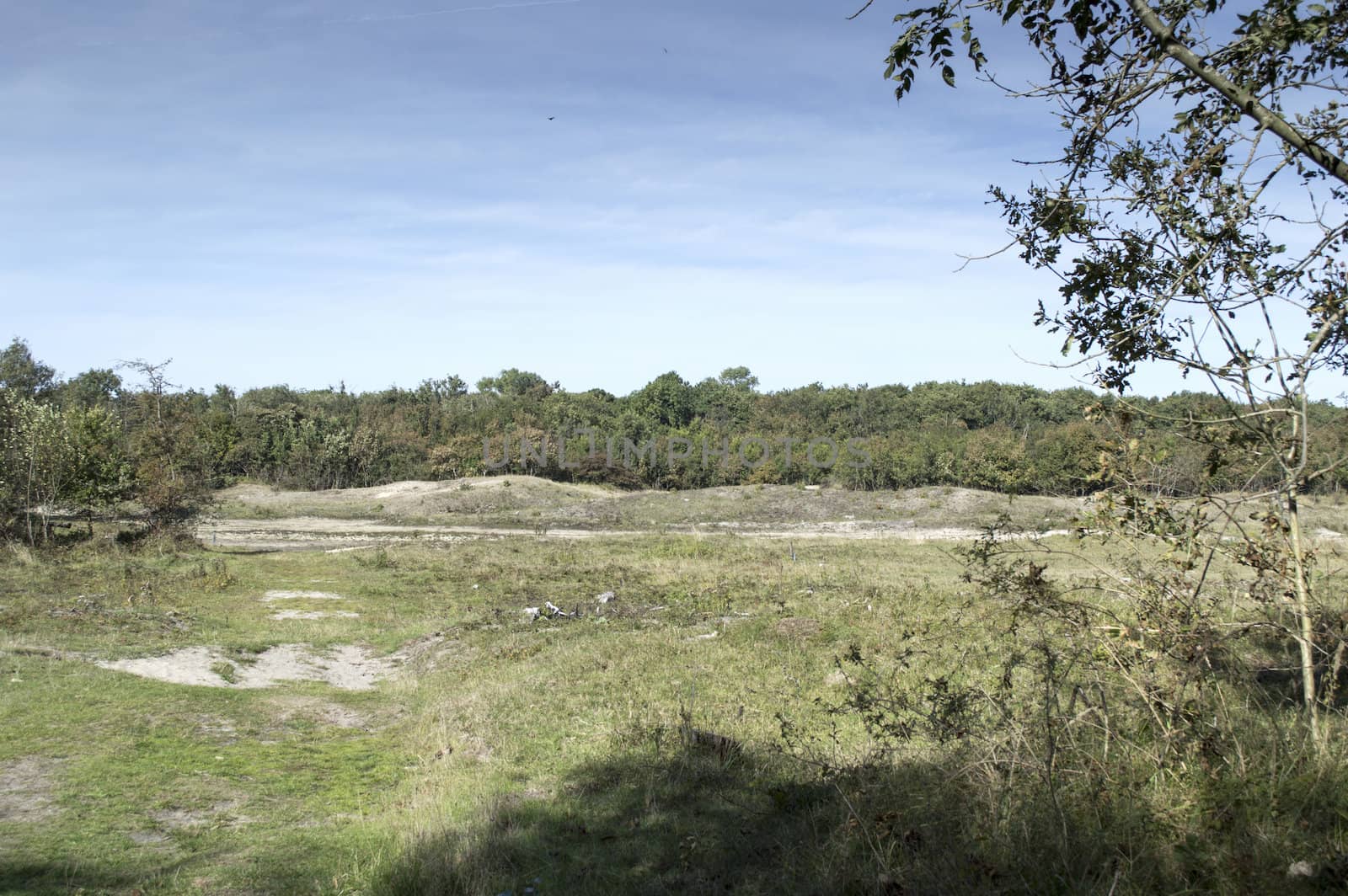 nature area called waterplas near the dutch place Rockanje