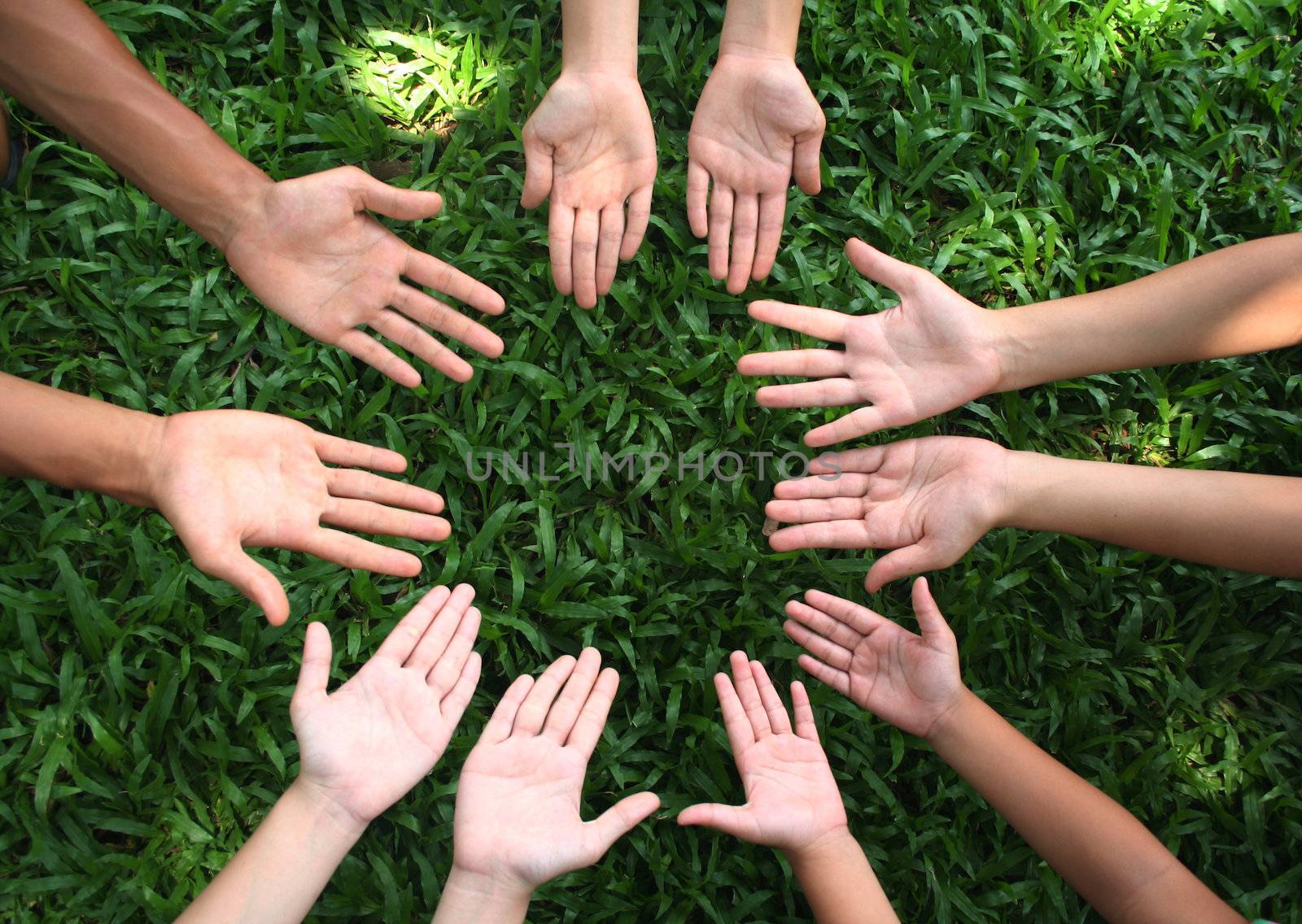 Multicultural hands on green grass