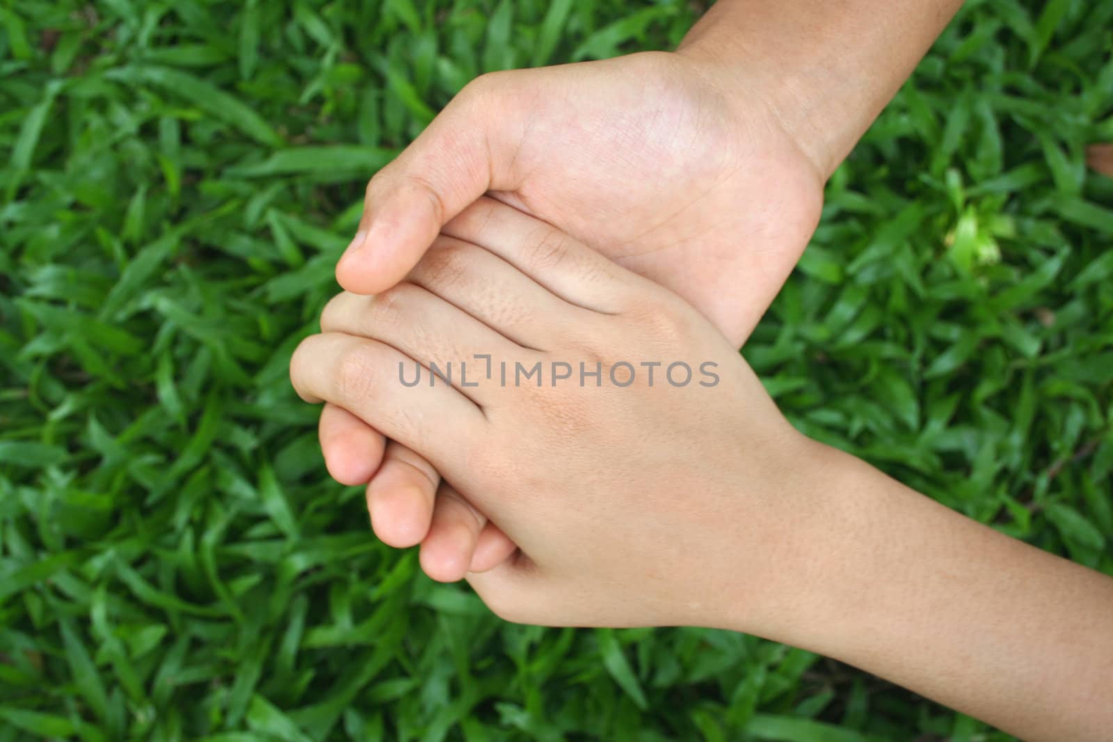 Two hands holding with green grass background.







Two hands shaking against green grass background