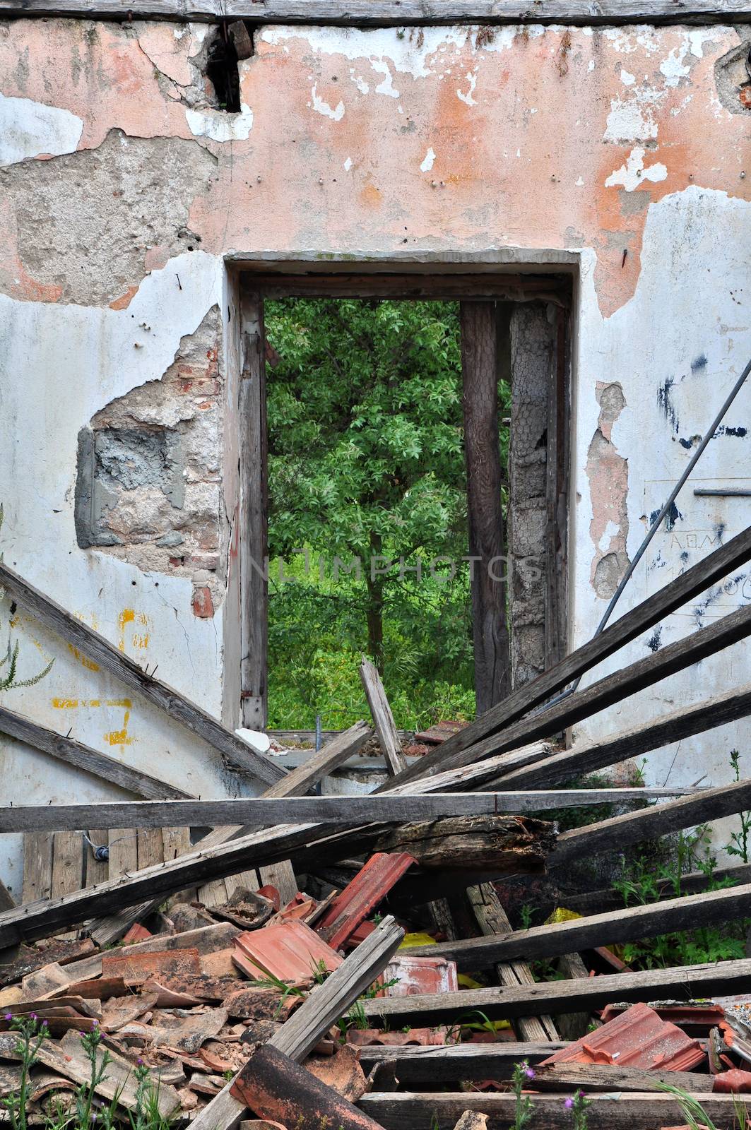 Collapsed roof chipped wall and open door with view to nature scene. Abandoned house interior.