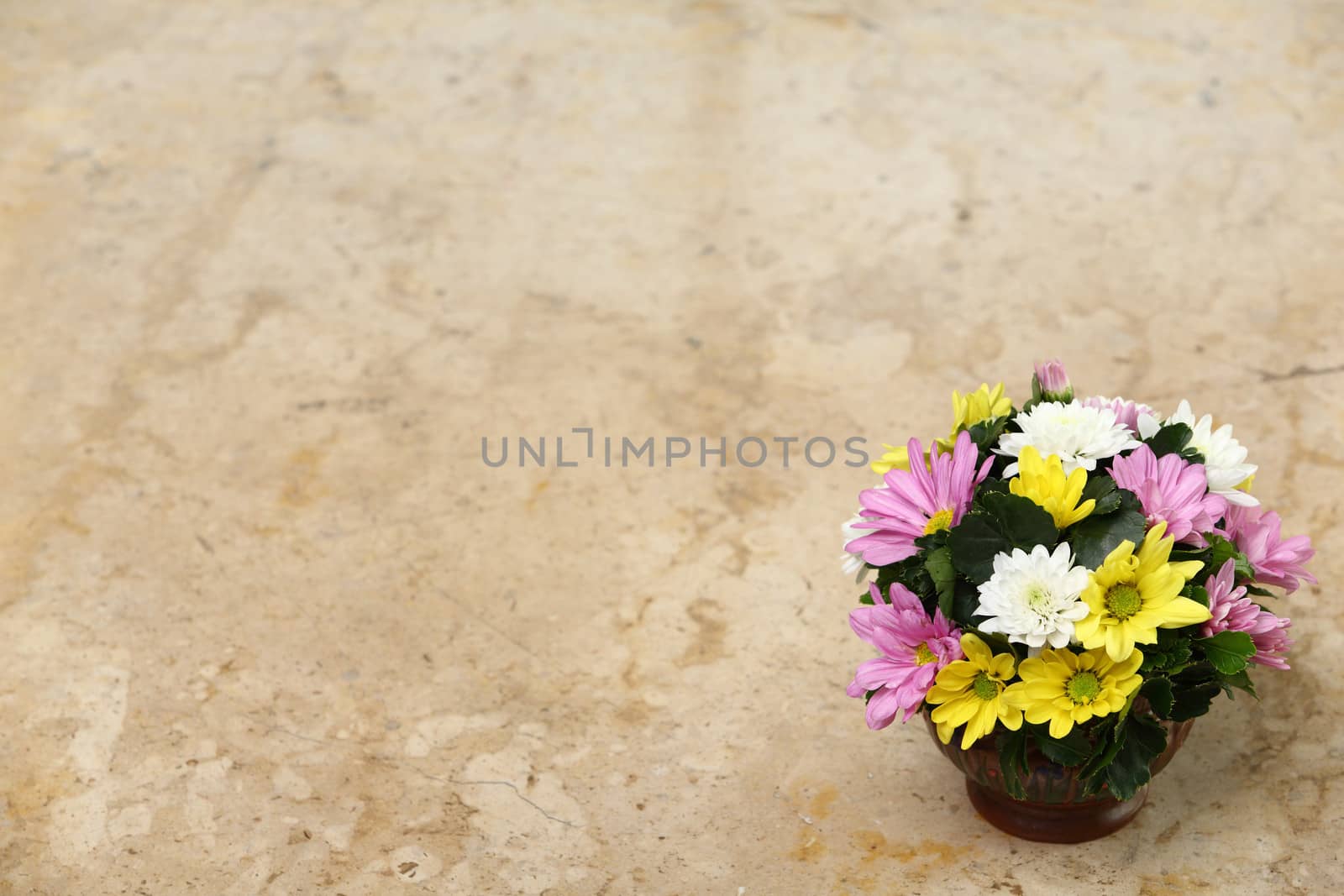 Colorful flower on marble table