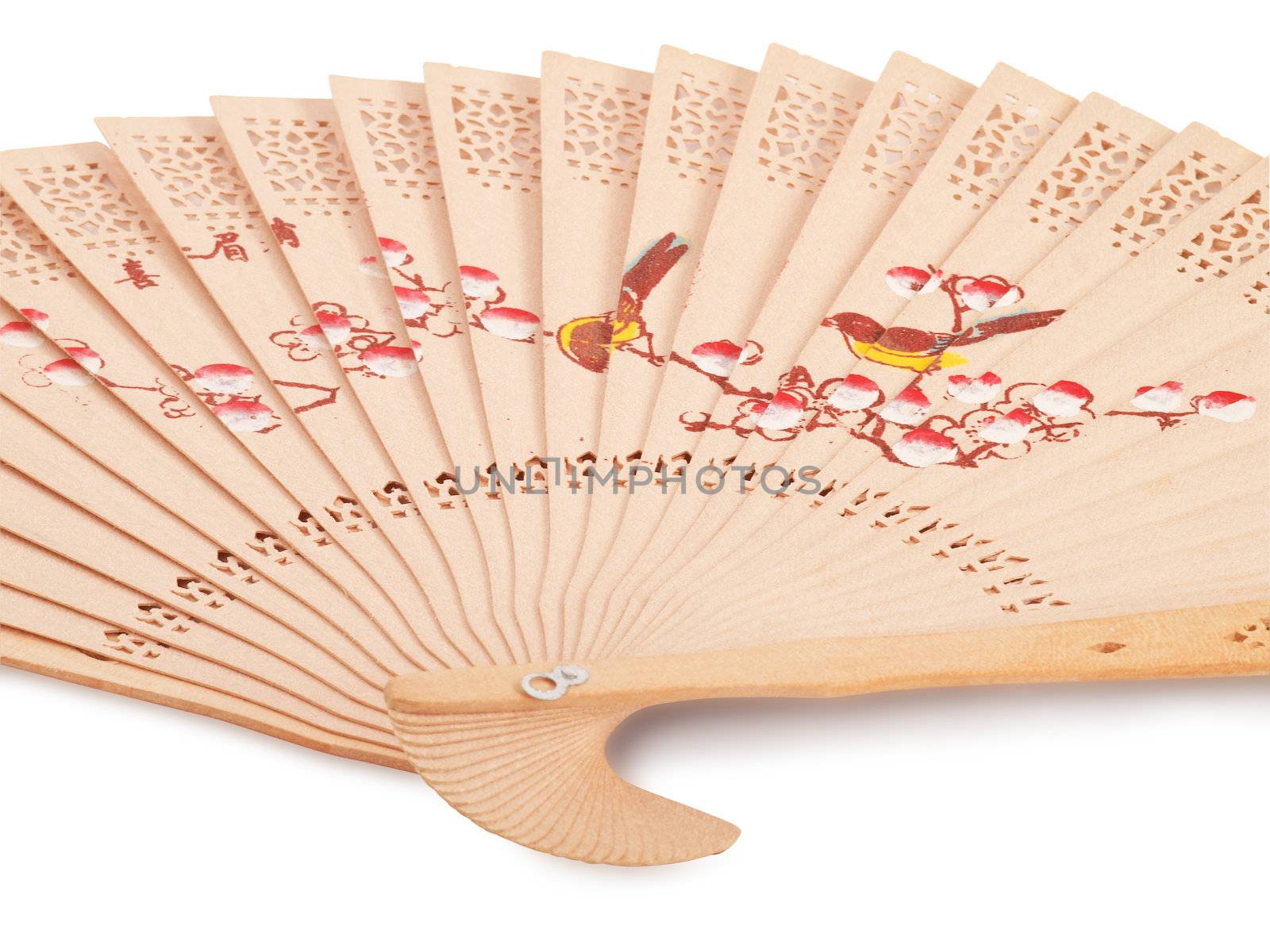 fan for cooling in the hot summer