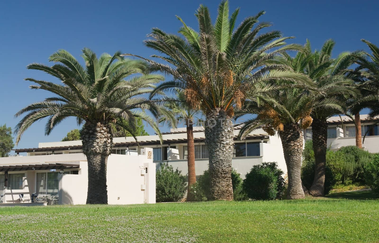 Palm trees and bungalow on the beach in Cyprus on a sunny day