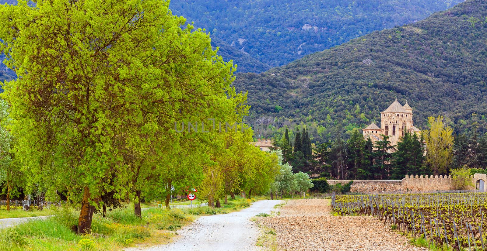 Road to the Santa Maria de Poblet cloister, Spain by Nobilior