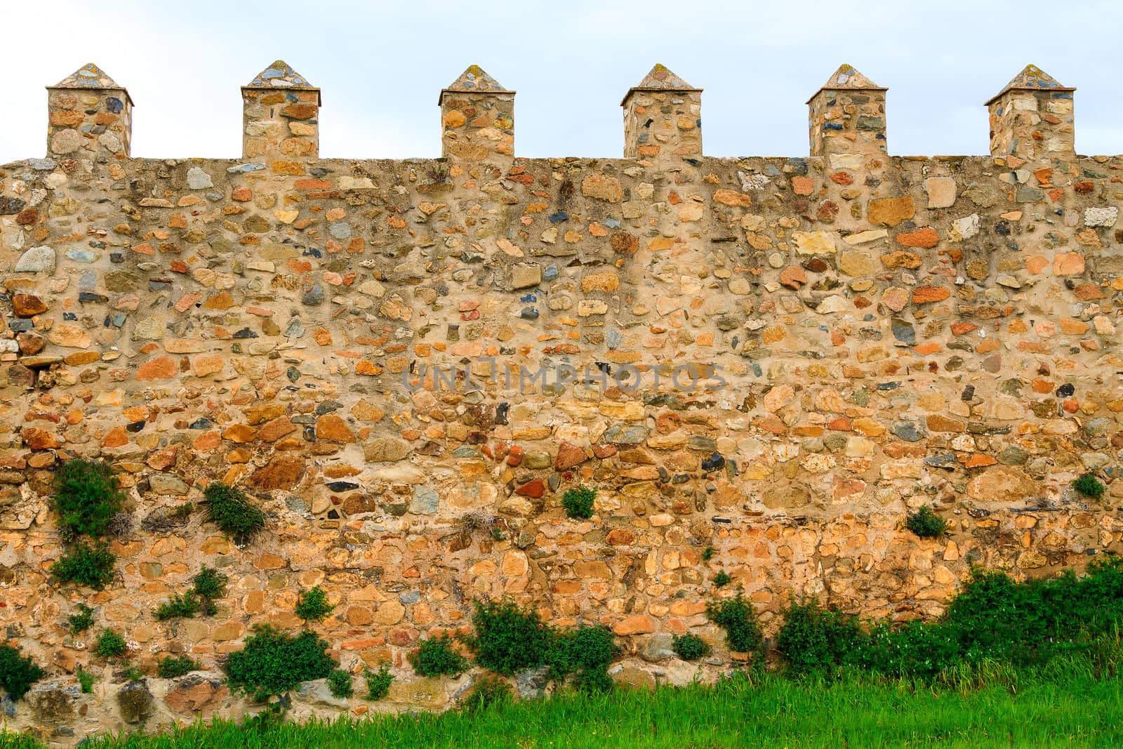Old wall of the Santa Maria de Poblet cloister, Spain