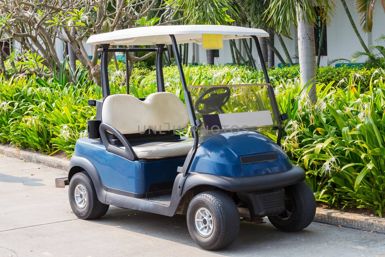 Golf cart by smuay