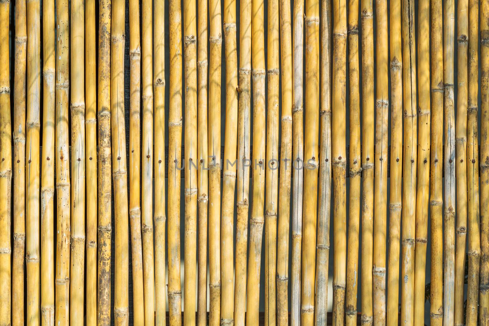 Fence decoration by yellow bamboo