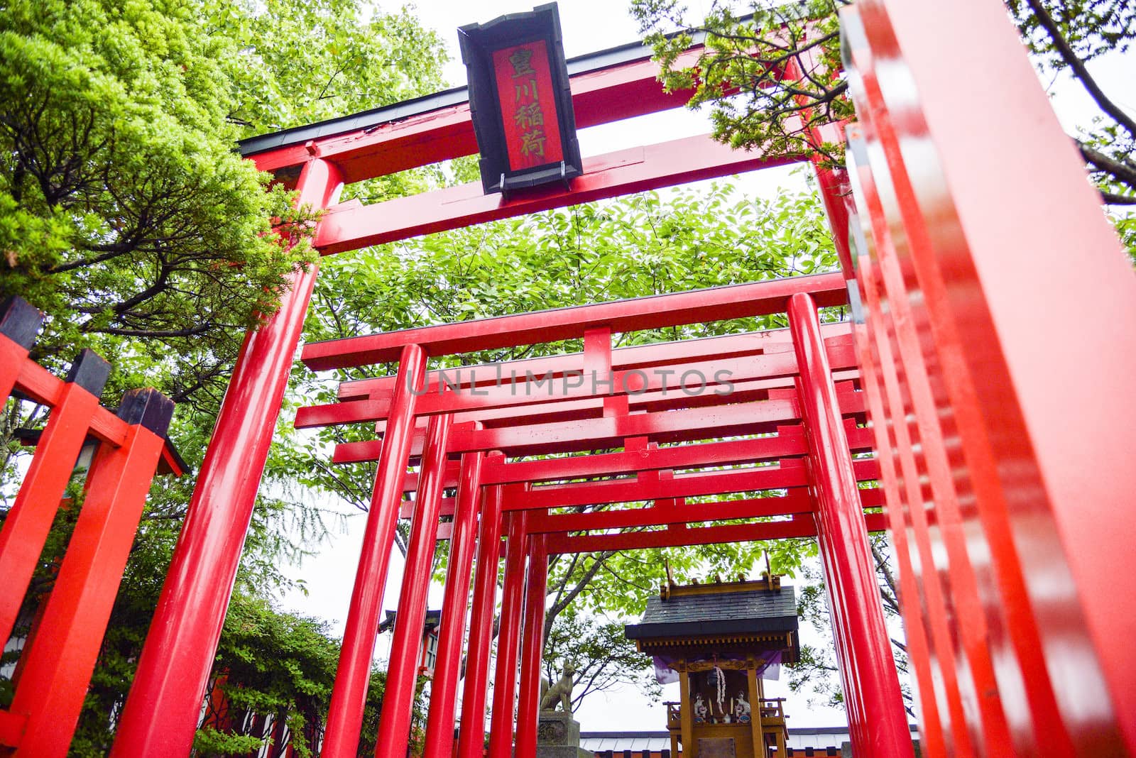 Small shrine with red Torii in Japanese style2