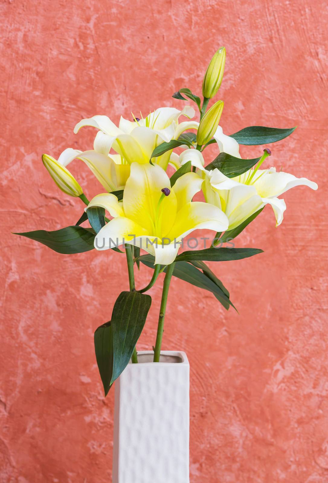 Yellow lily in vase isolated on grunge background