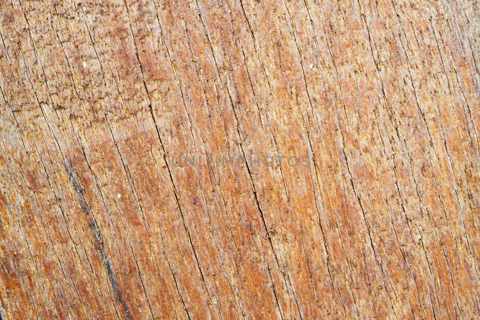 Old and cracked wood texture