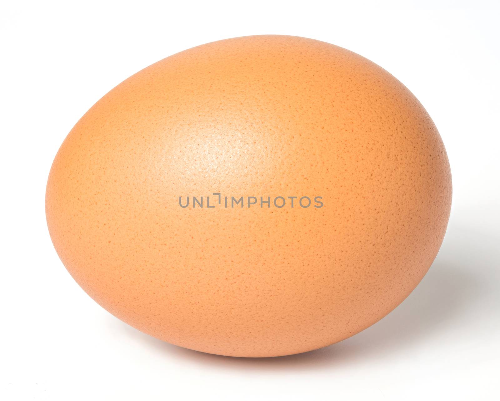 Chicken egg isolated on white