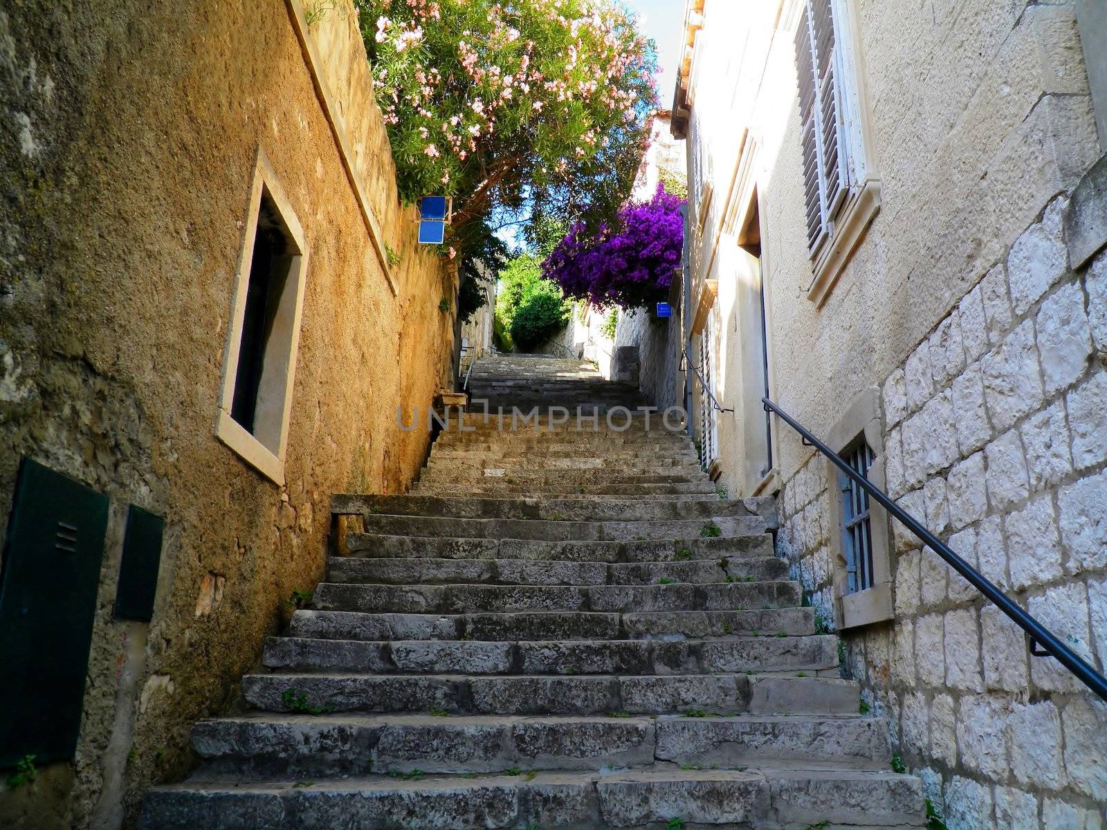 Dubrovnik Old Town street, Croatia by alentejano