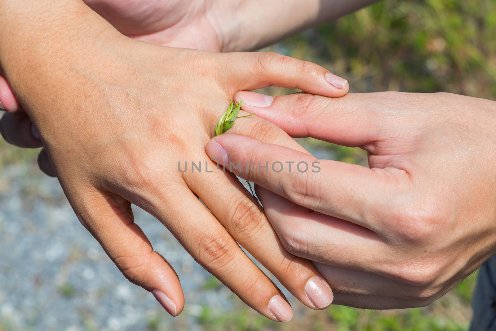 Groom Wearing an engagement or wedding ring made from grass to bride with love