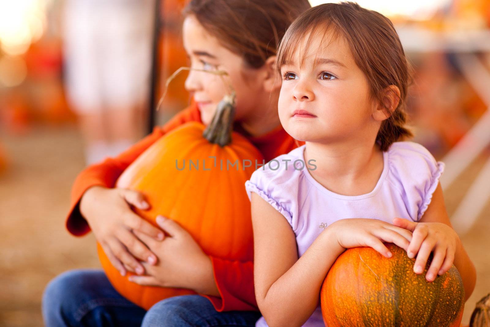 Cute Little Girls Holding Their Pumpkins At A Pumpkin Patch by Feverpitched