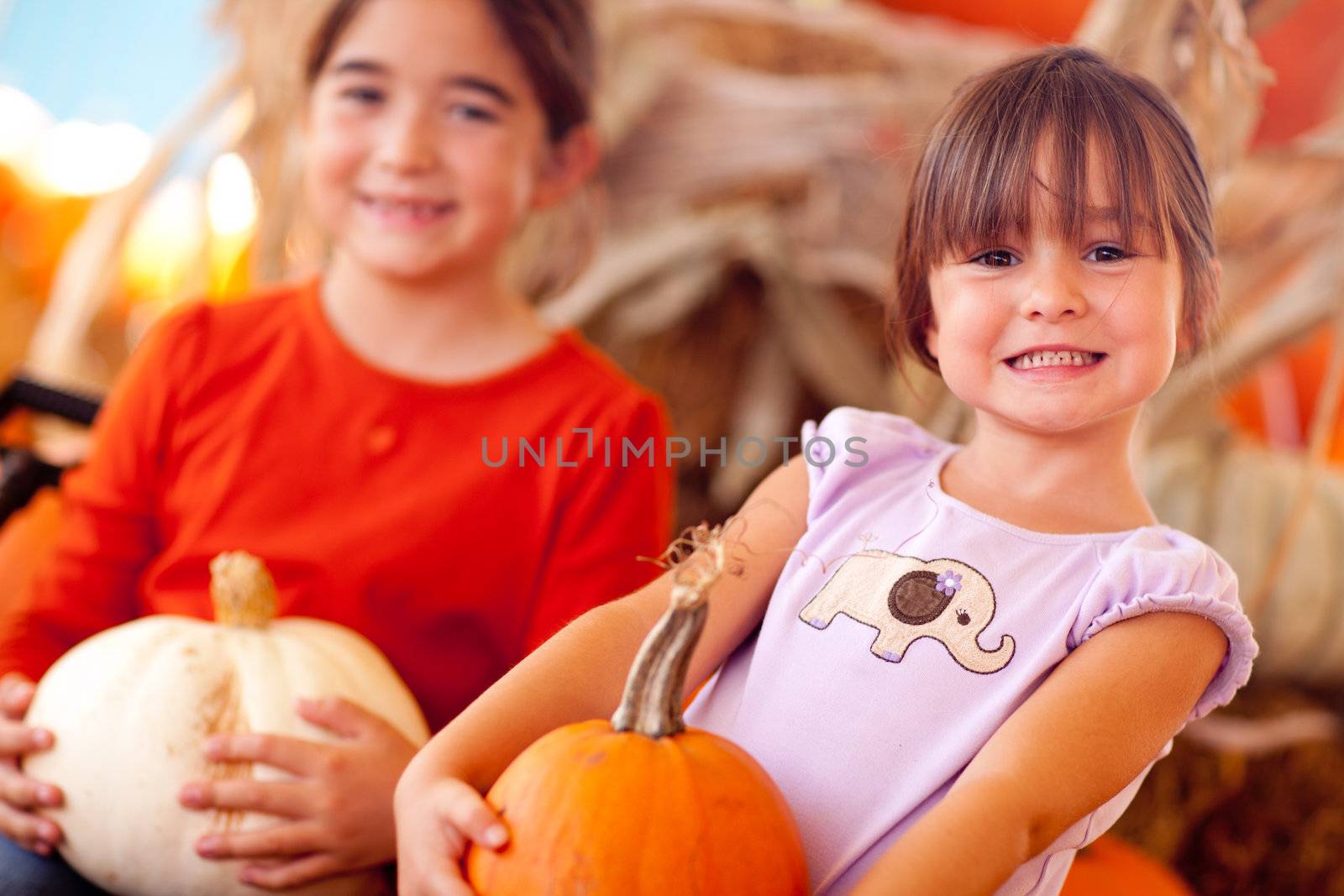 Cute Little Girls Holding Their Pumpkins At A Pumpkin Patch One Fall Day.
