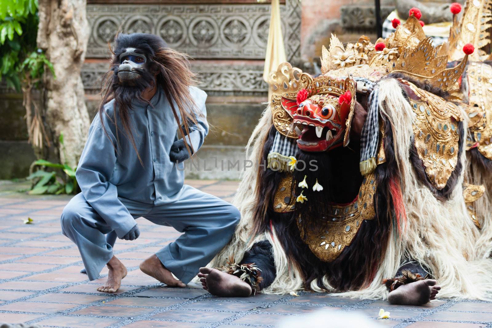 BALI - SEP 21: Barong and Kris Dance performs at Sahadewah, in Batubulan, Bali, Indonesia on Sep 21, 2012. This famous play represents an fight between good and bad gods.