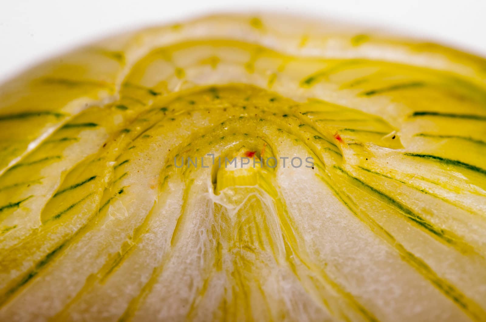 An image of close up onion isolated