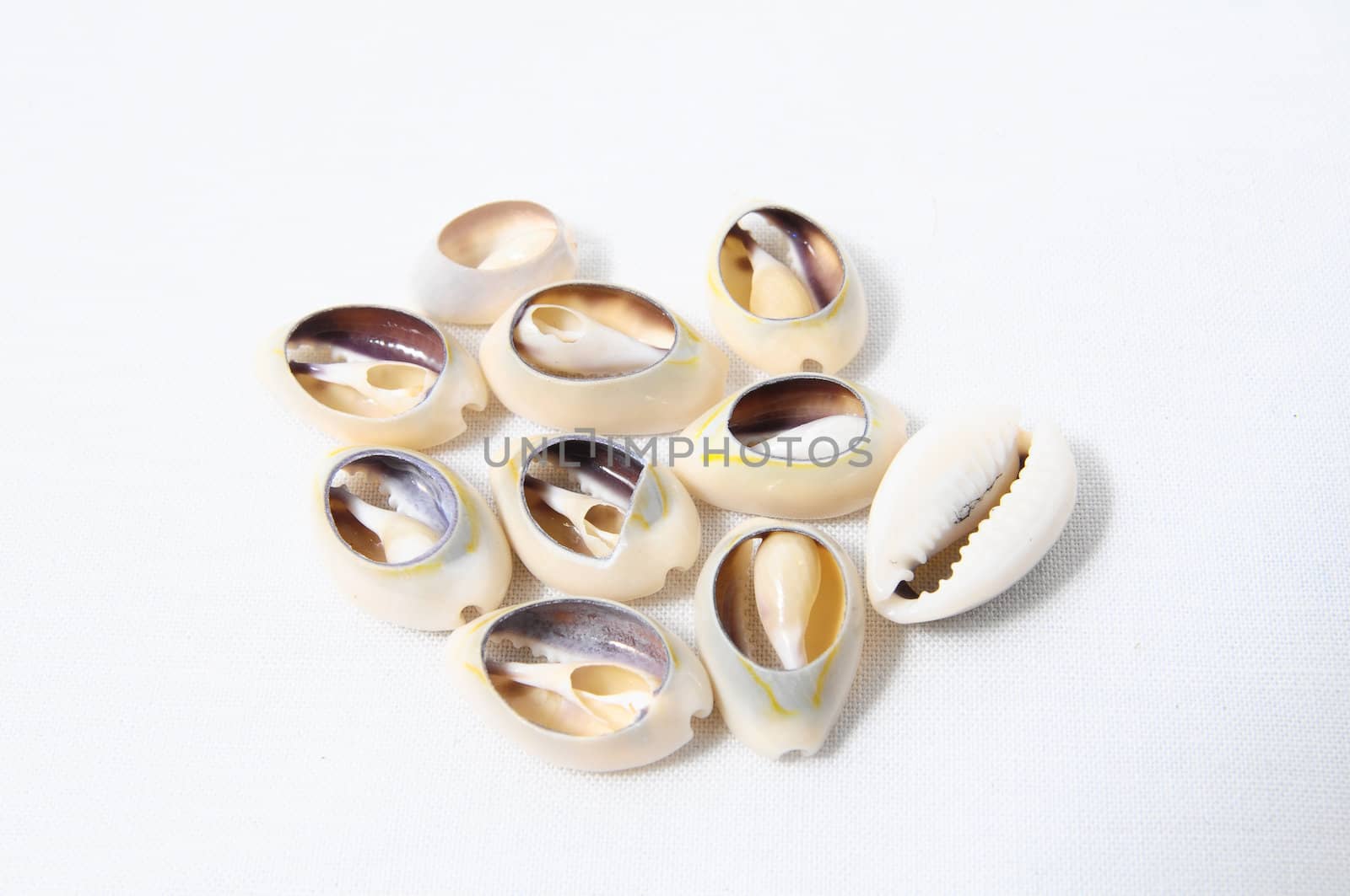 Materials to Produce Handmade Jewelry Isolated on a White Background