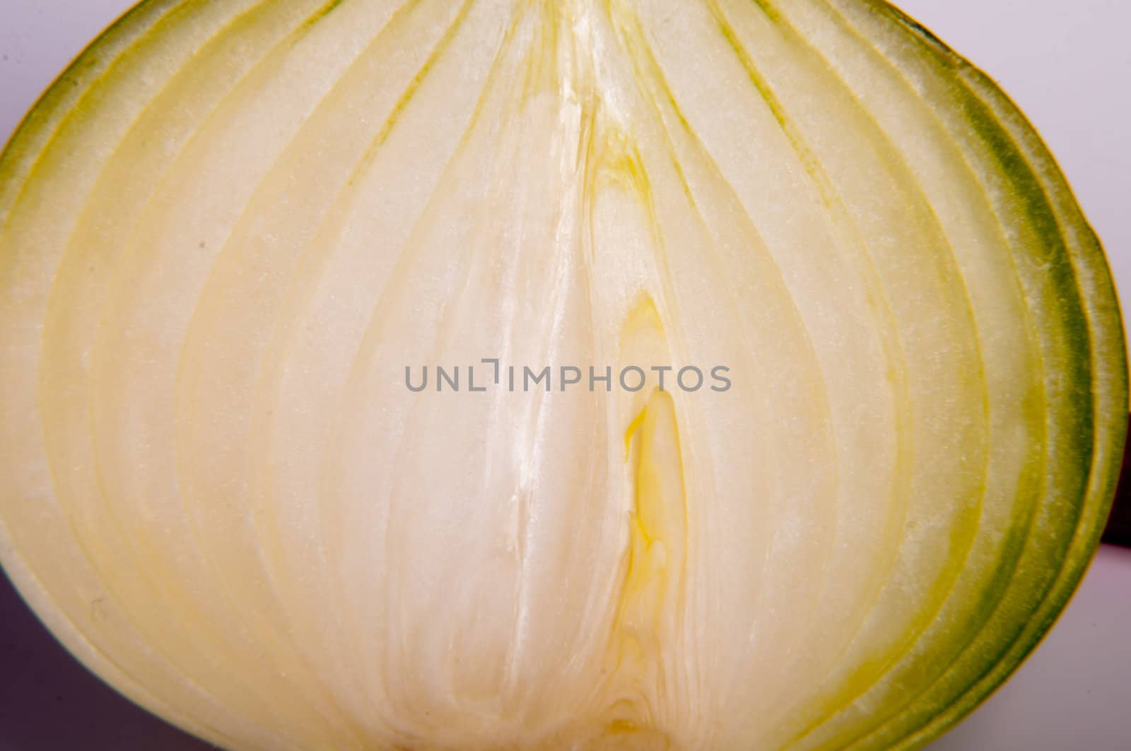 An image of close up onion isolated