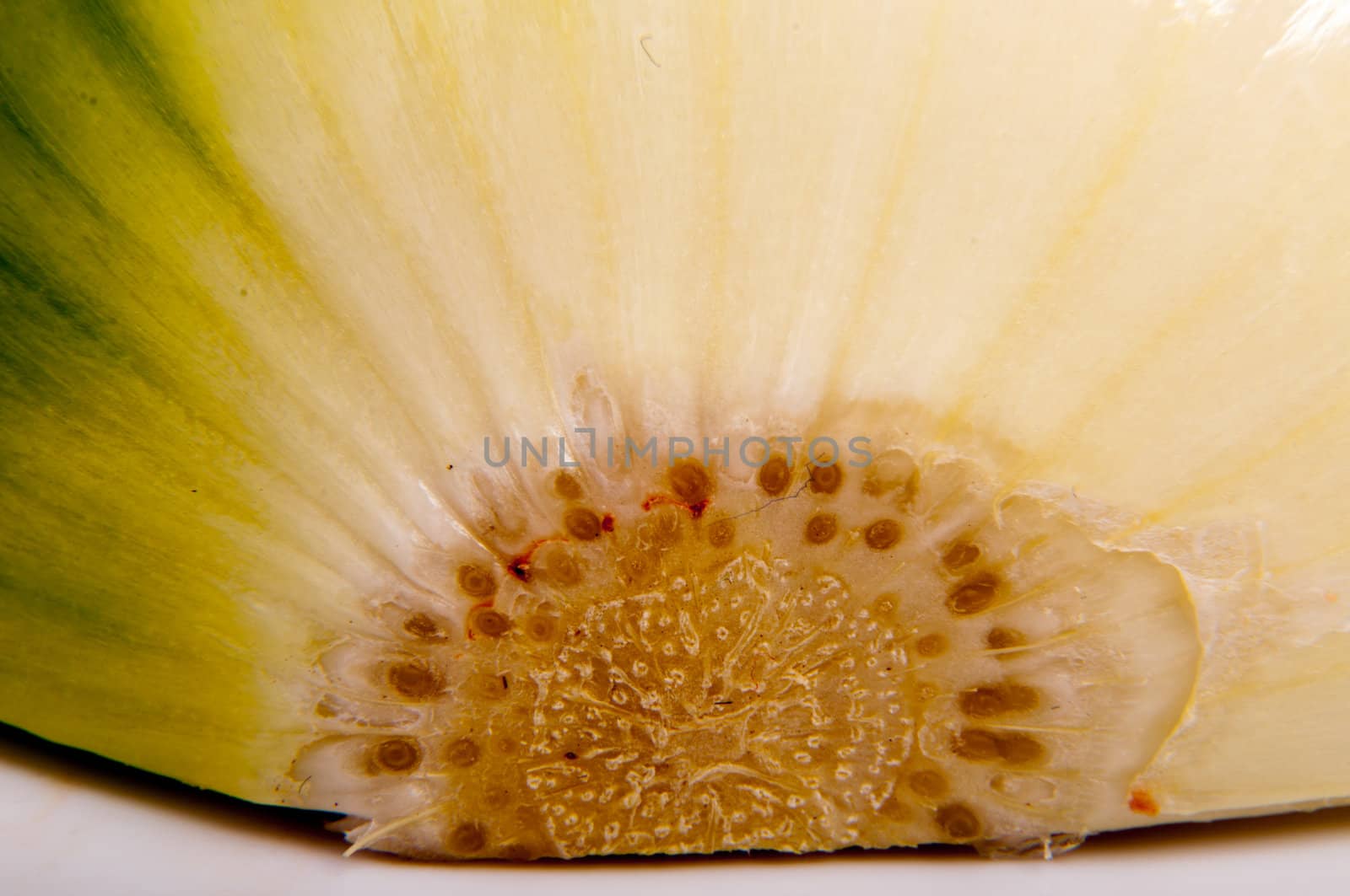 An image of close up onion isolated