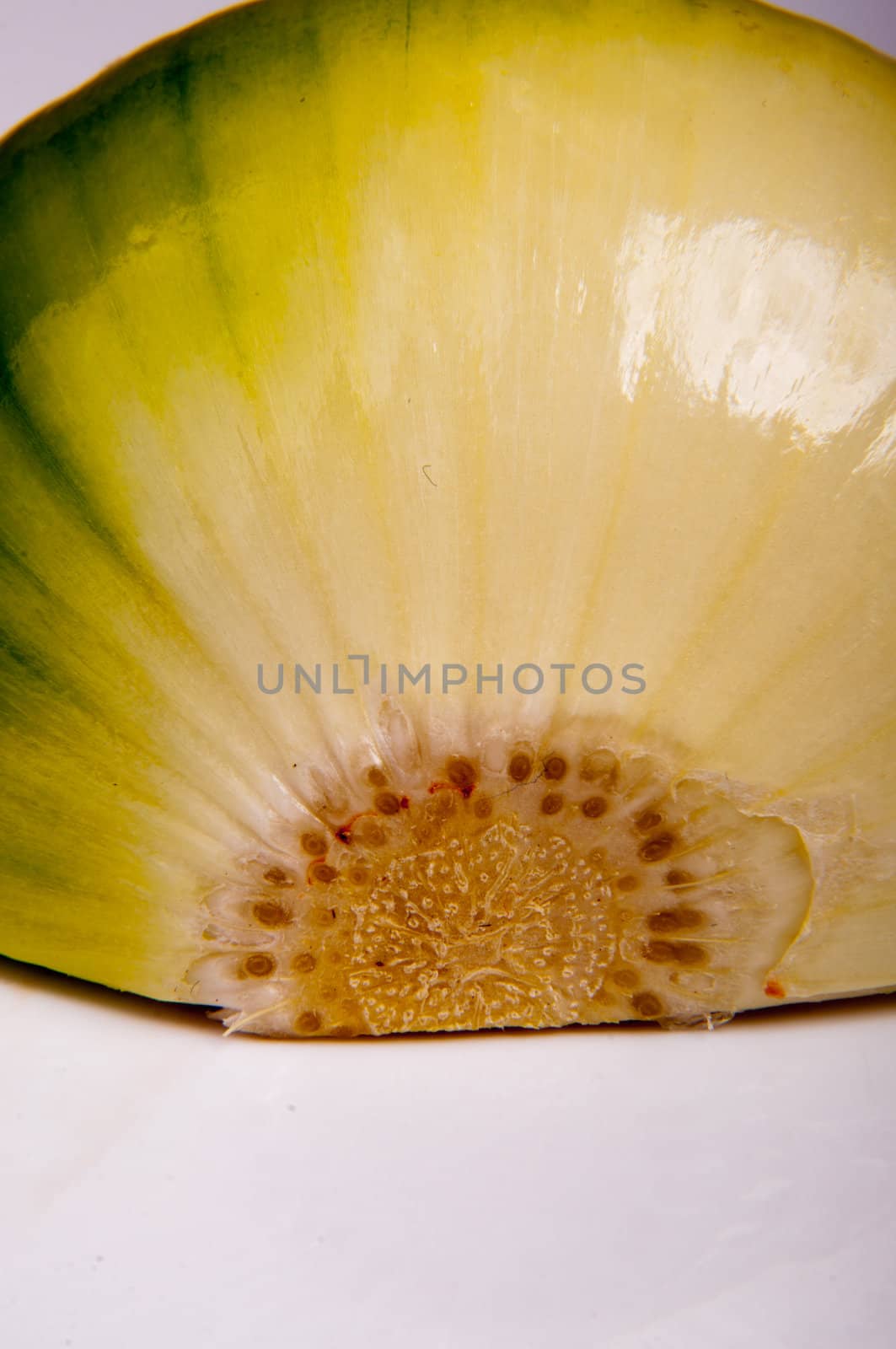 An image of close up onion isolated