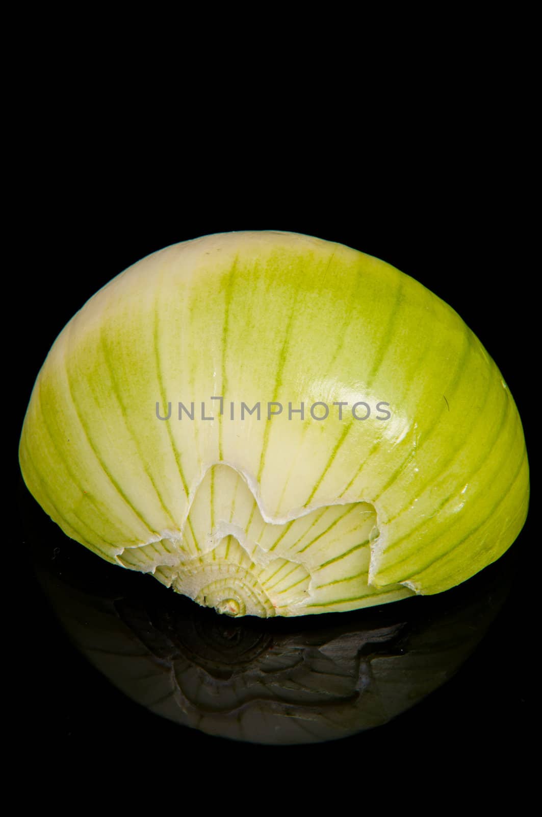 An image of close up onion isolated