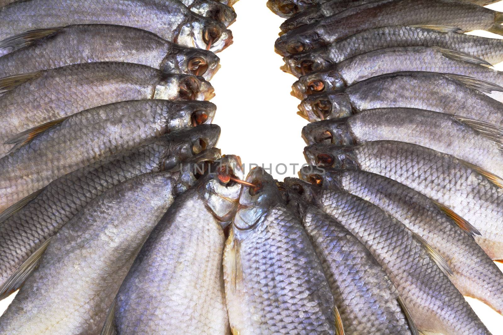 Salted and dried river fish on a white background. by georgina198