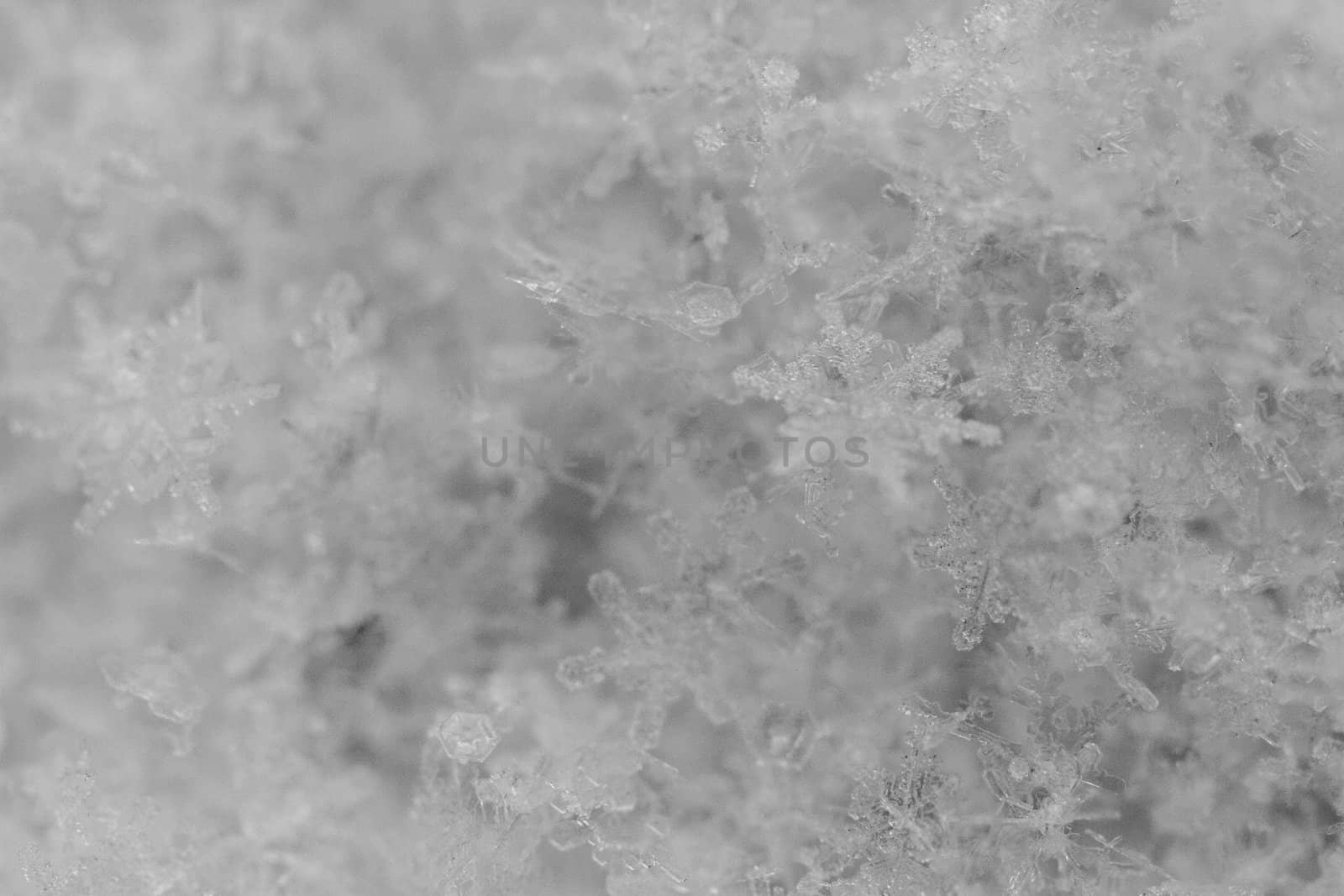 beauty white snowflake crystals by NagyDodo