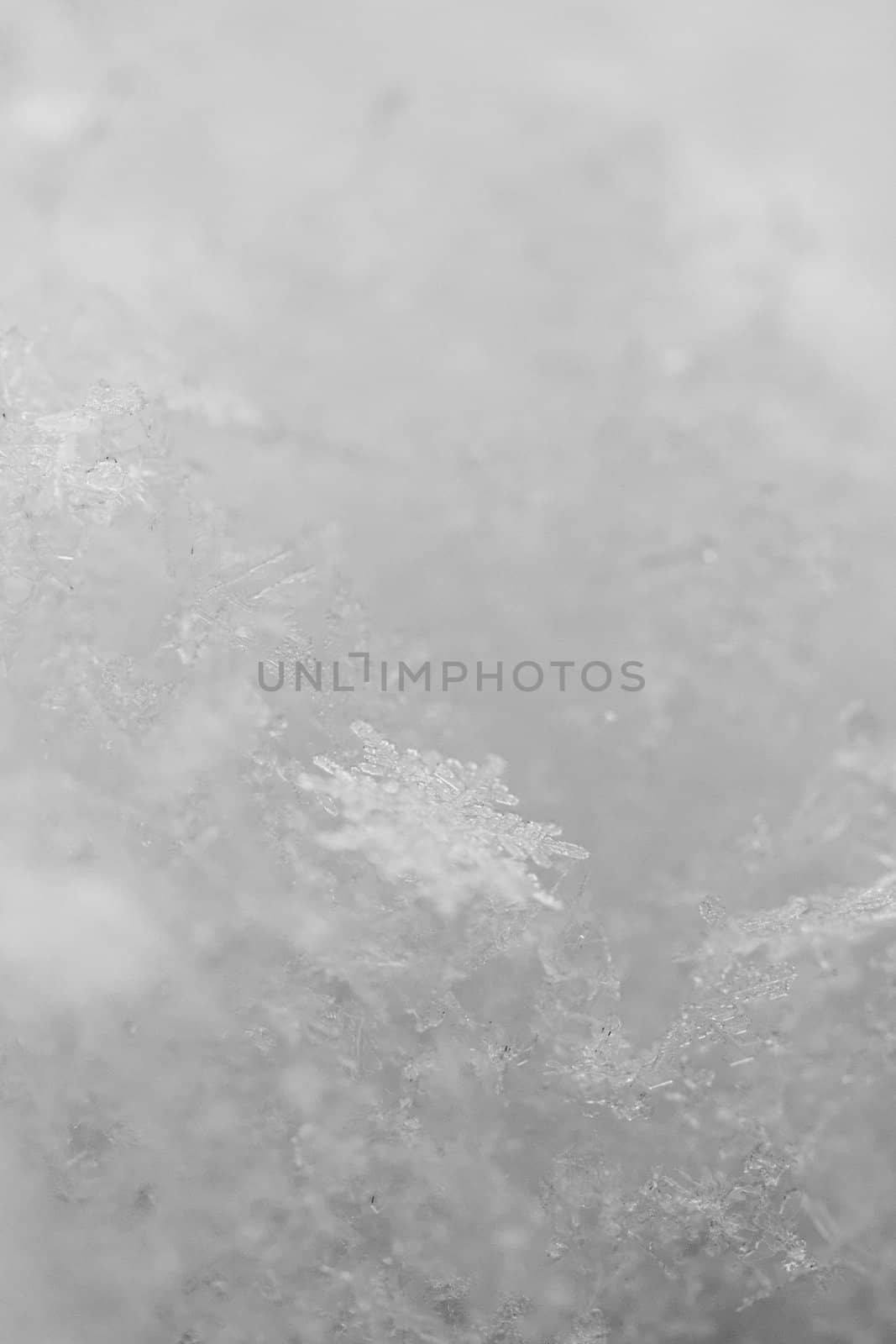 beauty white snowflake crystals by NagyDodo